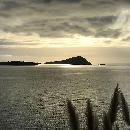 Island View Experience Villa Coromandel Exterior photo