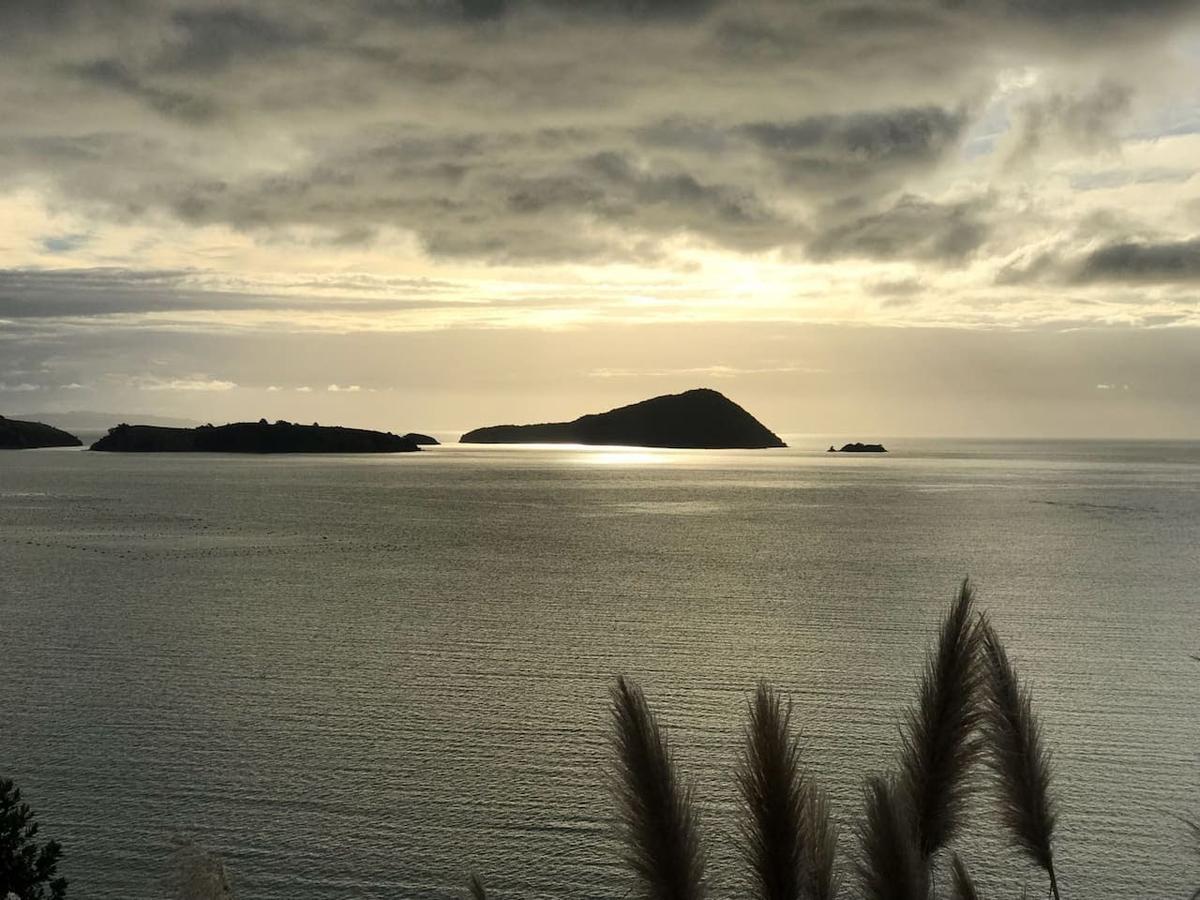 Island View Experience * Coromandel